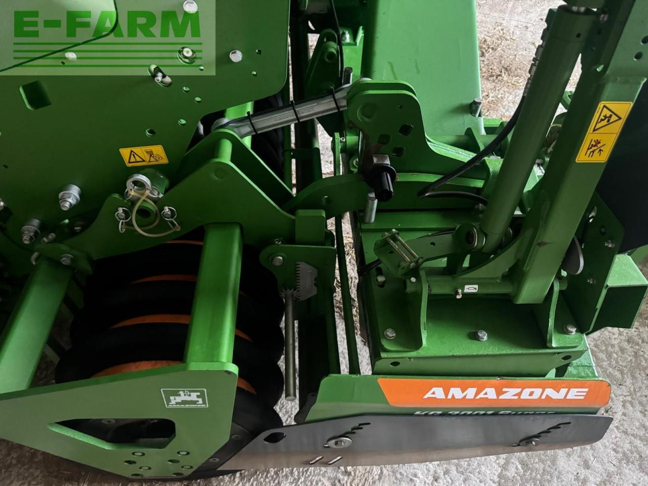 Amazone centaya - Säkombination: das Bild 2 Amazone centaya - Säkombination: das Bild 2