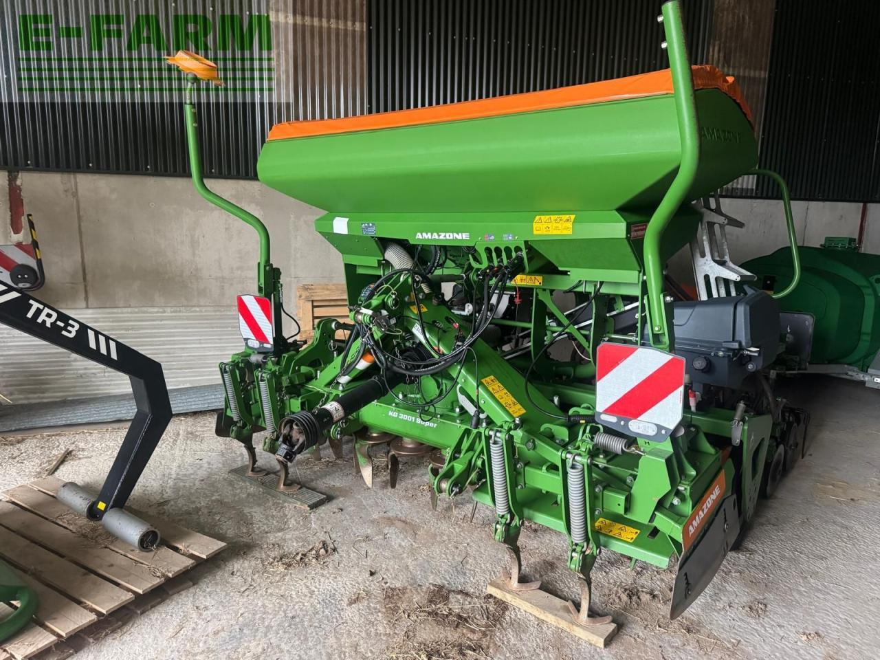 Amazone centaya - Säkombination: das Bild 3 Amazone centaya - Säkombination: das Bild 3