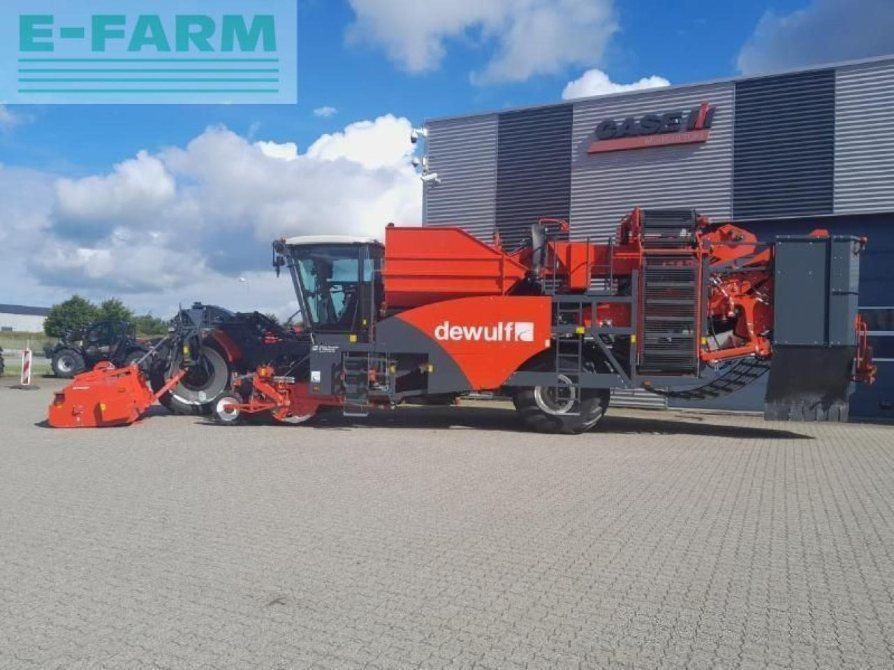 Dewulf rqa3060 demomaskine - Kartoffelroder: das Bild 1 Dewulf rqa3060 demomaskine - Kartoffelroder: das Bild 1
