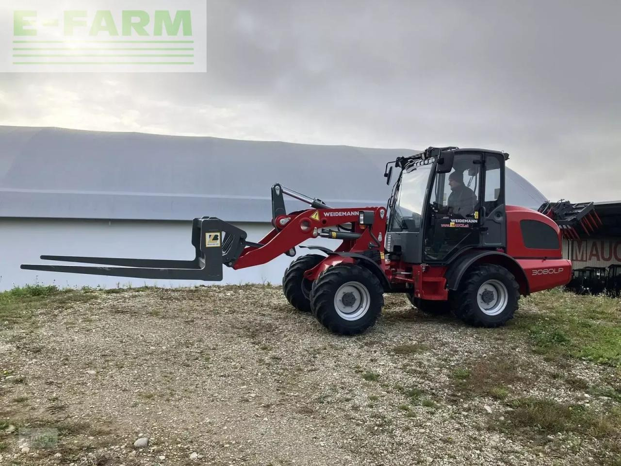Weidemann 3080lp für geflügelkistengabel sofort verfügbar - Radlader: das Bild 2 Weidemann 3080lp für geflügelkistengabel sofort verfügbar - Radlader: das Bild 2