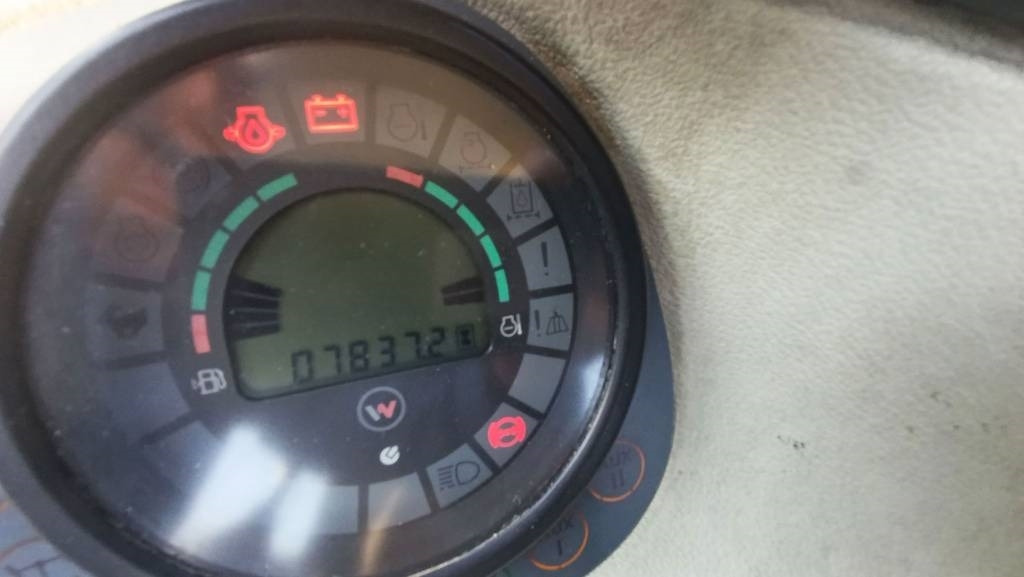 Mobilbagger Wacker Neuson 9503 Bagger Powertilt, SW Martin, Verstellausleger: das Bild 20