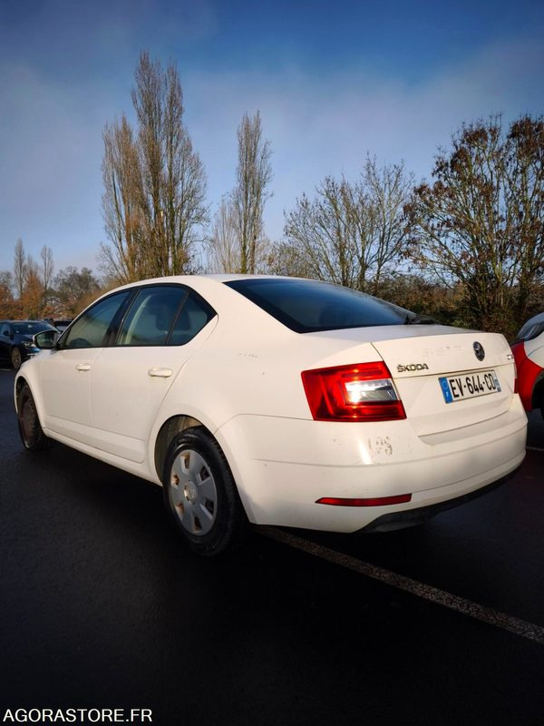 EV-644-CD - Non Roulant - SKODA OCTAVIA - VP - 339 260 Kms - PKW: das Bild 5 EV-644-CD - Non Roulant - SKODA OCTAVIA - VP - 339 260 Kms - PKW: das Bild 5
