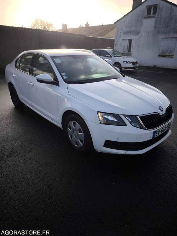 EV-644-CD - Non Roulant - SKODA OCTAVIA - VP - 339 260 Kms - PKW: das Bild 1 EV-644-CD - Non Roulant - SKODA OCTAVIA - VP - 339 260 Kms - PKW: das Bild 1