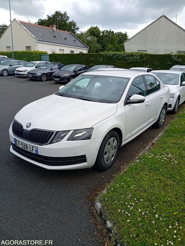 EY-528-LF - Roulant - SKODA OCTAVIA - VP - 421 000 Kms - PKW: das Bild 1 EY-528-LF - Roulant - SKODA OCTAVIA - VP - 421 000 Kms - PKW: das Bild 1