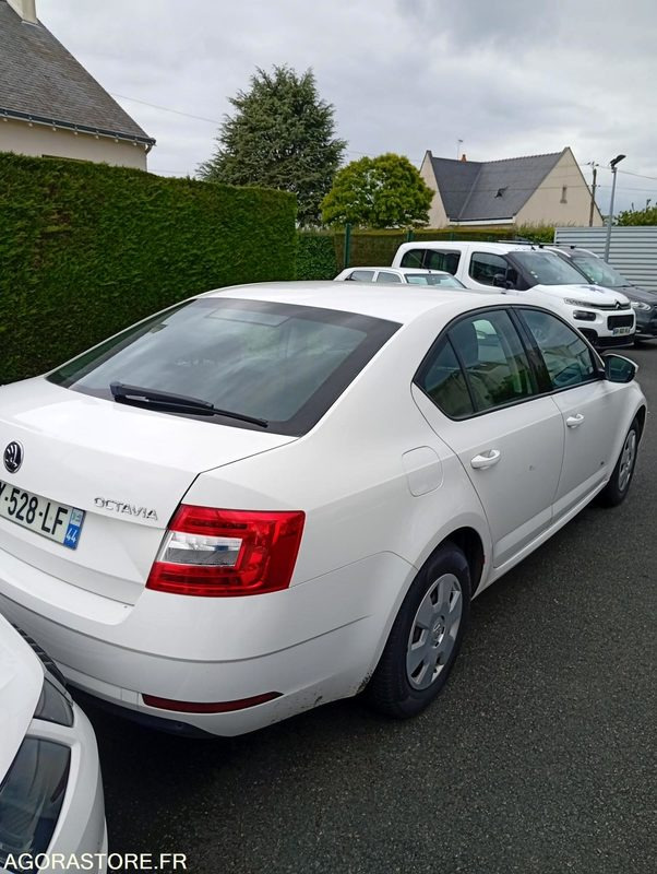 EY-528-LF - Roulant - SKODA OCTAVIA - VP - 421 000 Kms - PKW: das Bild 4 EY-528-LF - Roulant - SKODA OCTAVIA - VP - 421 000 Kms - PKW: das Bild 4