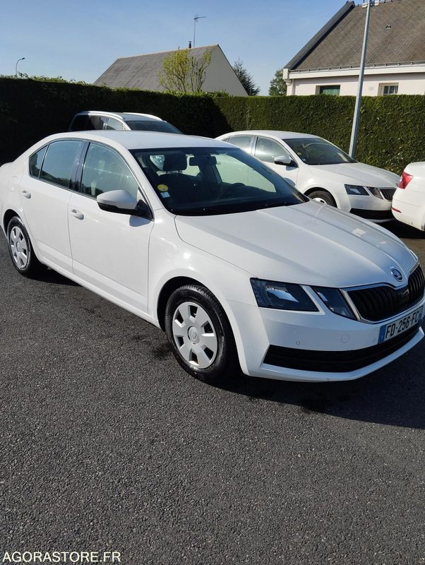 FD-256-FC - Roulant - SKODA OCTAVIA - VP - 417 000 Kms - PKW: das Bild 1 FD-256-FC - Roulant - SKODA OCTAVIA - VP - 417 000 Kms - PKW: das Bild 1