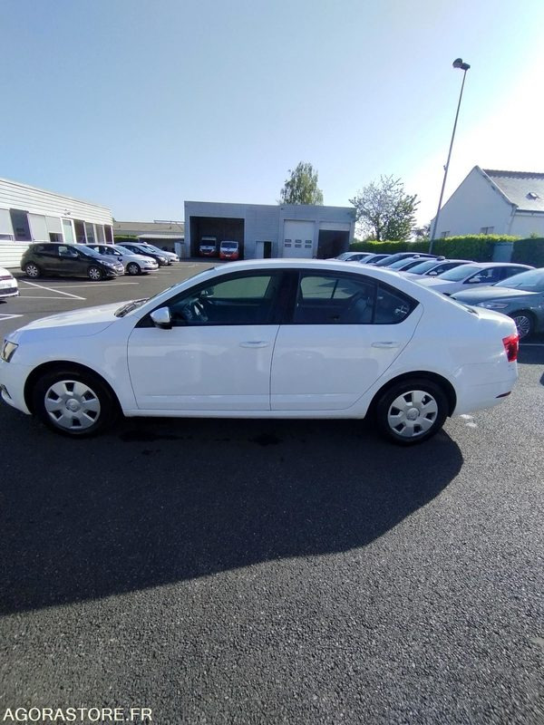 FD-256-FC - Roulant - SKODA OCTAVIA - VP - 417 000 Kms - PKW: das Bild 3 FD-256-FC - Roulant - SKODA OCTAVIA - VP - 417 000 Kms - PKW: das Bild 3