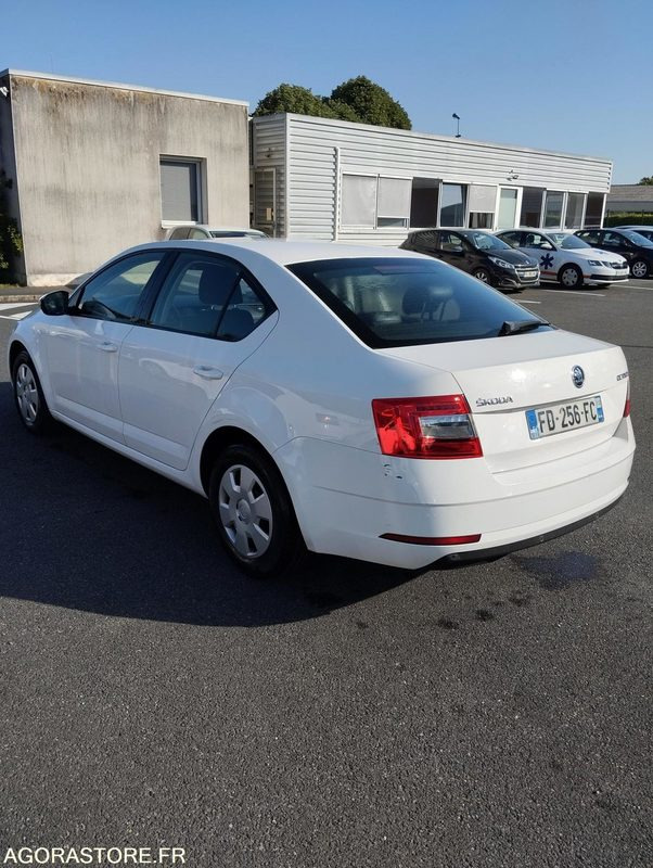FD-256-FC - Roulant - SKODA OCTAVIA - VP - 417 000 Kms - PKW: das Bild 5 FD-256-FC - Roulant - SKODA OCTAVIA - VP - 417 000 Kms - PKW: das Bild 5