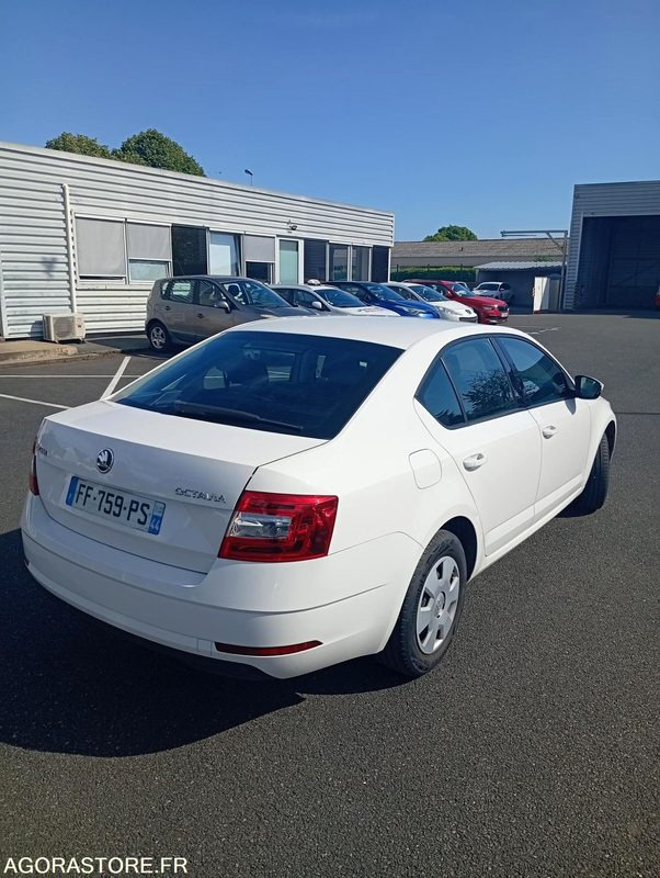 FF-759-PS - Roulant - SKODA OCTAVIA - VP - 394 000 KS - PKW: das Bild 3 FF-759-PS - Roulant - SKODA OCTAVIA - VP - 394 000 KS - PKW: das Bild 3