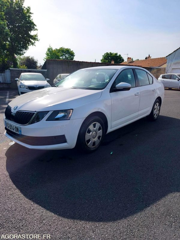 FG-014-DN - Roulant - SKODA OCTAVIA - VP - 354 084 Kms - PKW: das Bild 1 FG-014-DN - Roulant - SKODA OCTAVIA - VP - 354 084 Kms - PKW: das Bild 1