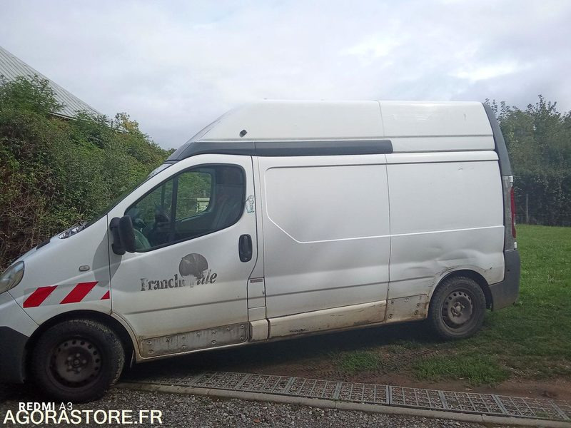 RENAULT TRAFIC - Kastenwagen: das Bild 3 RENAULT TRAFIC - Kastenwagen: das Bild 3