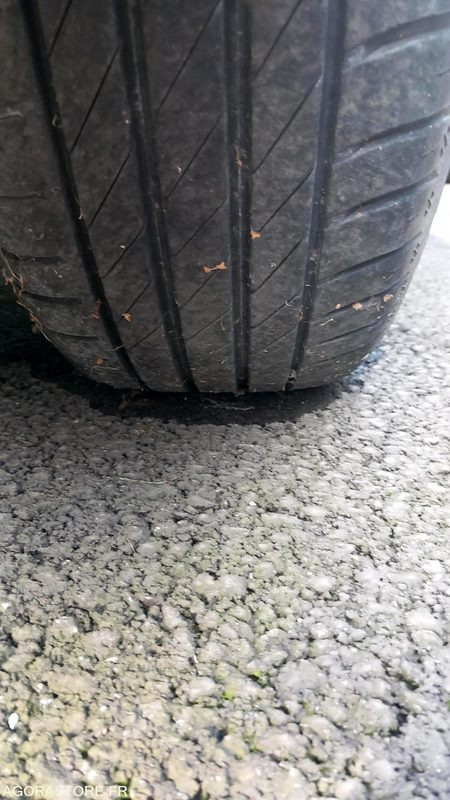 Renault Clio - PKW: das Bild 5 Renault Clio - PKW: das Bild 5