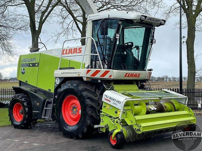 Claas Jaguar 830 492 - Feldhäcksler: das Bild 2 Claas Jaguar 830 492 - Feldhäcksler: das Bild 2