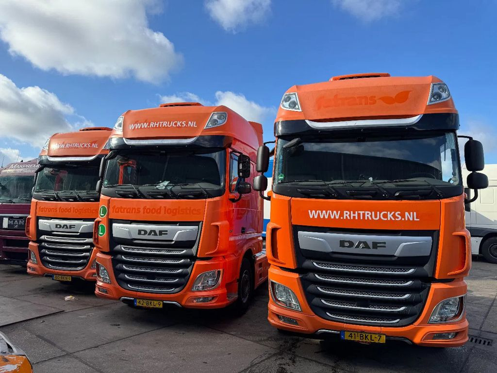 DAF XF 450 4X2 - EURO 6 + FULL SPOILER + NL TRUCK - Sattelzugmaschine: das Bild 1 DAF XF 450 4X2 - EURO 6 + FULL SPOILER + NL TRUCK - Sattelzugmaschine: das Bild 1