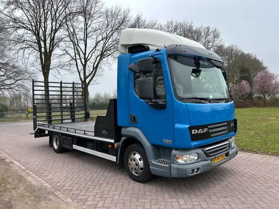 2008 DAF 45.160 TRUCK RAMP - LKW: das Bild 2 2008 DAF 45.160 TRUCK RAMP - LKW: das Bild 2