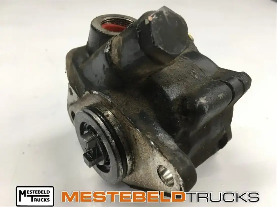 MAN Stuurpomp L2000 - Motor für LKW: das Bild 1 MAN Stuurpomp L2000 - Motor für LKW: das Bild 1