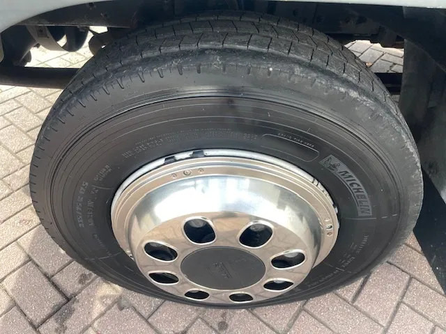 Pferdetransporter DAF LF 45.130 CLEAN HORSES NL-TRUCK: das Bild 20