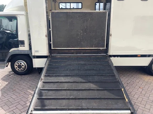 Pferdetransporter DAF LF 45.130 CLEAN HORSES NL-TRUCK: das Bild 11