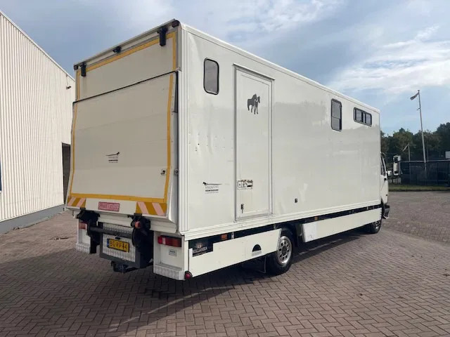 Pferdetransporter DAF LF 45.130 CLEAN HORSES NL-TRUCK: das Bild 7