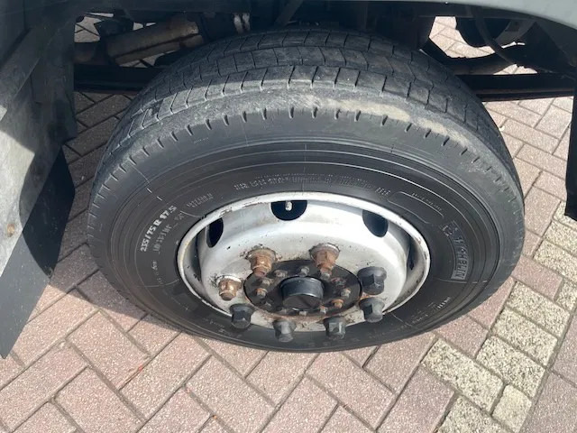 Pferdetransporter DAF LF 45.130 CLEAN HORSES NL-TRUCK: das Bild 19