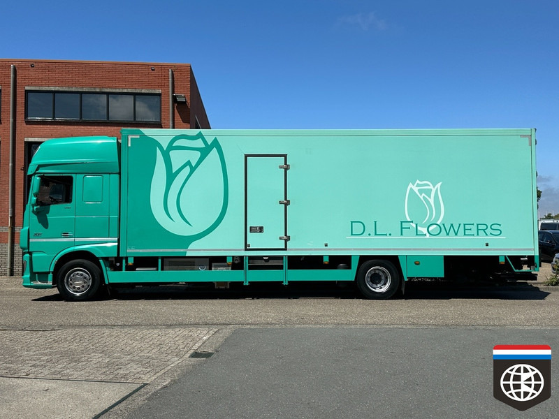 DAF XF 410 FA - Kühlkoffer LKW: das Bild 3 DAF XF 410 FA - Kühlkoffer LKW: das Bild 3