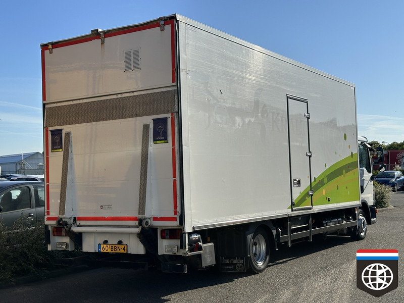 MAN TGL 8 180 - THERMOKING - THEO MULDER FLOWER TRUCK - Kühlkoffer LKW: das Bild 5 MAN TGL 8 180 - THERMOKING - THEO MULDER FLOWER TRUCK - Kühlkoffer LKW: das Bild 5