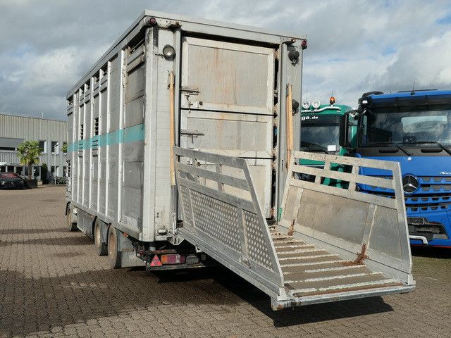 Bannas AT 24.83, 3 Etagen, Schweine, Liftachse - Tiertransporter Anhänger: das Bild 5 Bannas AT 24.83, 3 Etagen, Schweine, Liftachse - Tiertransporter Anhänger: das Bild 5