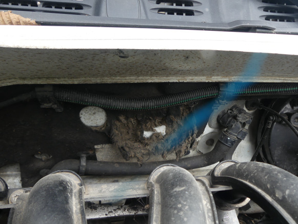 Andere Technik Camionnette Citroen Berlingo (2004-191.630 km-VIN:VF7GCWJYB94089418): das Bild 8