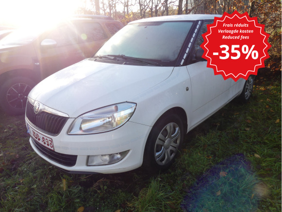 Voiture Skoda Fabia (2011-142449km-VIN:TMBEN65J1B3190467) - PKW: das Bild 1 Voiture Skoda Fabia (2011-142449km-VIN:TMBEN65J1B3190467) - PKW: das Bild 1