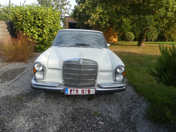 Voiture ancêtre Mercedes-Benz 280S (1972-72.399 km)( Vin: 10801610091315) - PKW: das Bild 1 Voiture ancêtre Mercedes-Benz 280S (1972-72.399 km)( Vin: 10801610091315) - PKW: das Bild 1