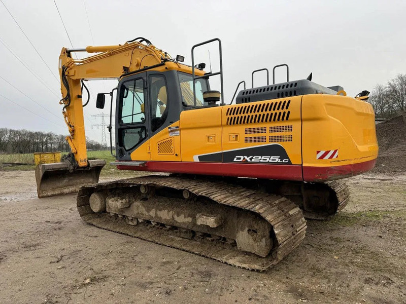 Doosan DX255LC-5 2015 10800 hr STRAIGHT FROM WORK ! DUTCH MACHINE ! - Kettenbagger: das Bild 2 Doosan DX255LC-5 2015 10800 hr STRAIGHT FROM WORK ! DUTCH MACHINE ! - Kettenbagger: das Bild 2