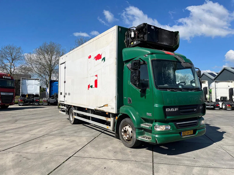 DAF LF 55 FA - Kühlkoffer LKW: das Bild 1 DAF LF 55 FA - Kühlkoffer LKW: das Bild 1
