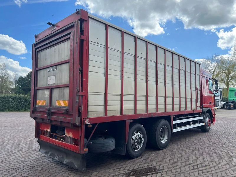 DAF XF FAR 95XF.380 EURO 2 - Tiertransporter LKW: das Bild 4 DAF XF FAR 95XF.380 EURO 2 - Tiertransporter LKW: das Bild 4