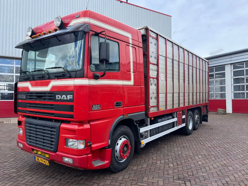 DAF XF FAR 95XF.380 EURO 2 - Tiertransporter LKW: das Bild 1 DAF XF FAR 95XF.380 EURO 2 - Tiertransporter LKW: das Bild 1