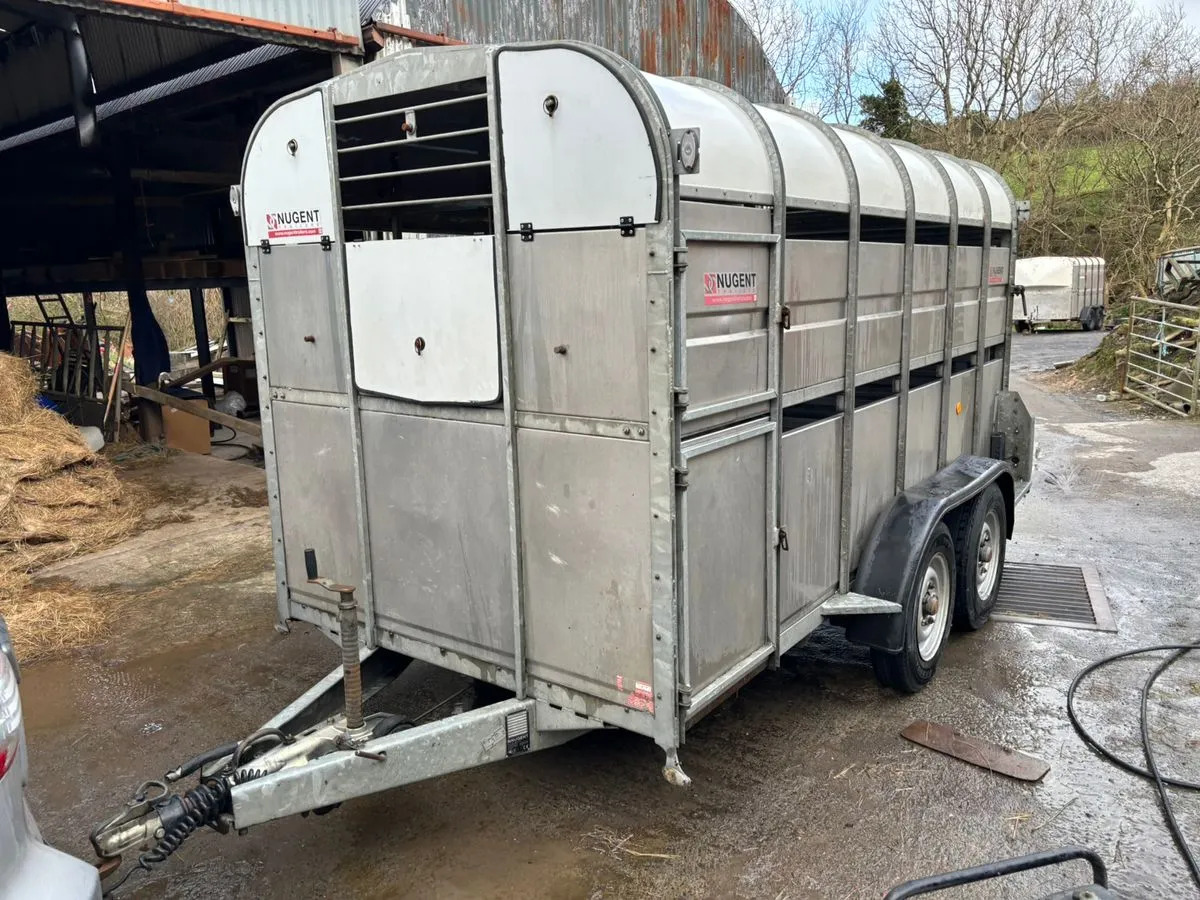 12X6 Nugent Livestock Trailer - Tiertransporter Anhänger: das Bild 5 12X6 Nugent Livestock Trailer - Tiertransporter Anhänger: das Bild 5