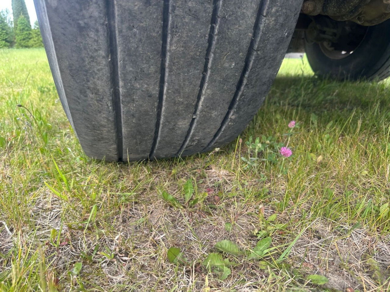 Holzanhänger MHS przyczepa do przewozu drewna: das Bild 15