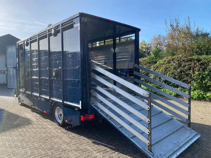DAF LF 280 - Tiertransporter LKW: das Bild 5 DAF LF 280 - Tiertransporter LKW: das Bild 5
