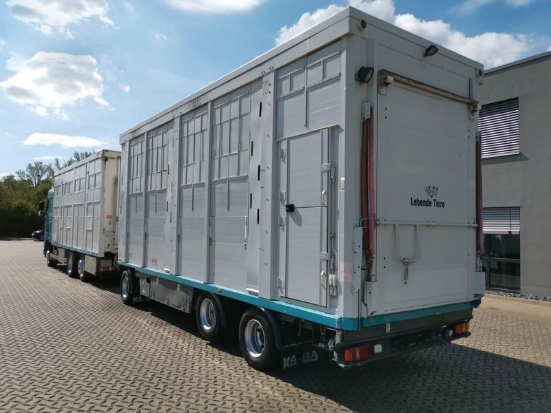 DAF XF 105.460 - Animal transporter + trailer - Tiertransporter LKW: das Bild 4 DAF XF 105.460 - Animal transporter + trailer - Tiertransporter LKW: das Bild 4