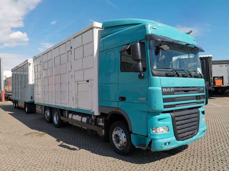 DAF XF 105.460 - Animal transporter + trailer - Tiertransporter LKW: das Bild 2 DAF XF 105.460 - Animal transporter + trailer - Tiertransporter LKW: das Bild 2