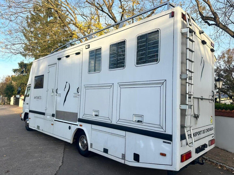 MAN 10.224 - Pferdetransporter: das Bild 3 MAN 10.224 - Pferdetransporter: das Bild 3