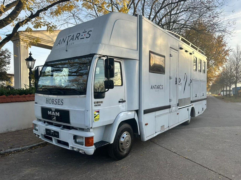 MAN 10.224 - Pferdetransporter: das Bild 2 MAN 10.224 - Pferdetransporter: das Bild 2