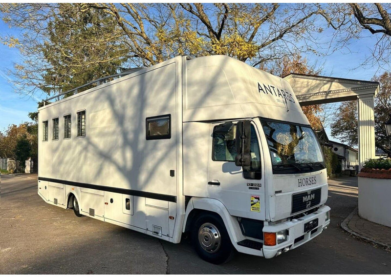 MAN 10.224 - Pferdetransporter: das Bild 1 MAN 10.224 - Pferdetransporter: das Bild 1
