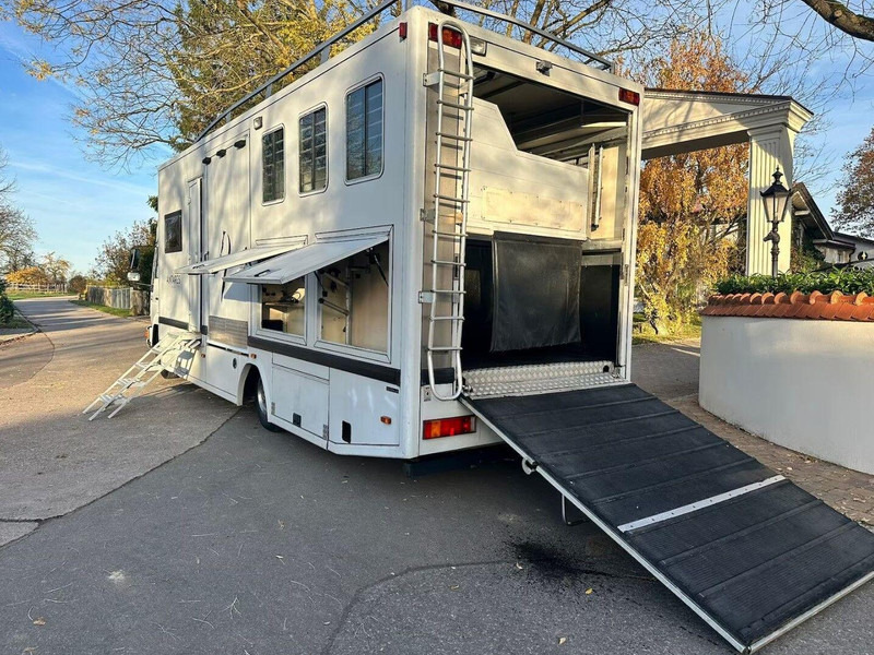 MAN 10.224 - Pferdetransporter: das Bild 5 MAN 10.224 - Pferdetransporter: das Bild 5