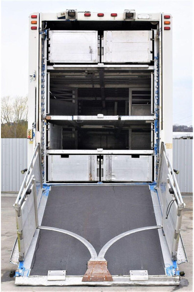 Scania R 500 - Tiertransporter LKW: das Bild 4 Scania R 500 - Tiertransporter LKW: das Bild 4