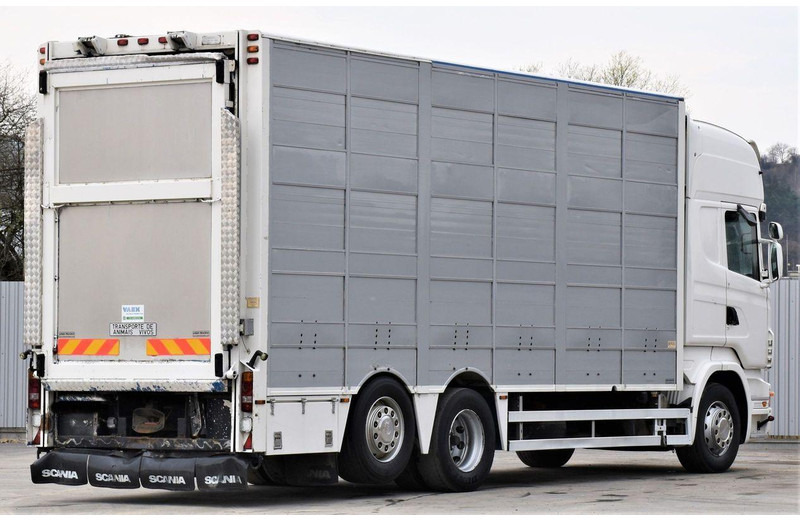 Scania R 500 - Tiertransporter LKW: das Bild 5 Scania R 500 - Tiertransporter LKW: das Bild 5