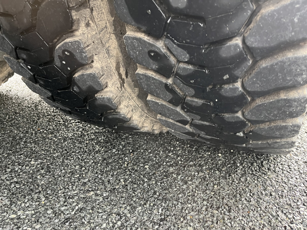 Pferdetransporter DAF CF410: das Bild 8