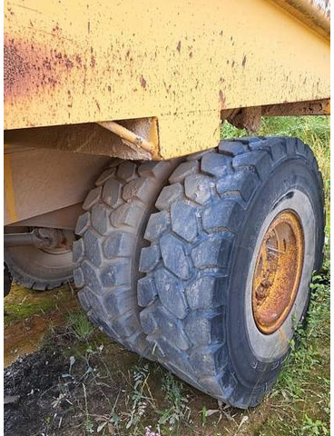 Euclid R32C - Dumper Starr: das Bild 5 Euclid R32C - Dumper Starr: das Bild 5