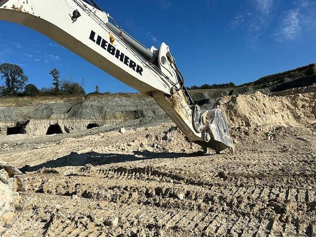 Bagger Liebherr R9100: das Bild 19