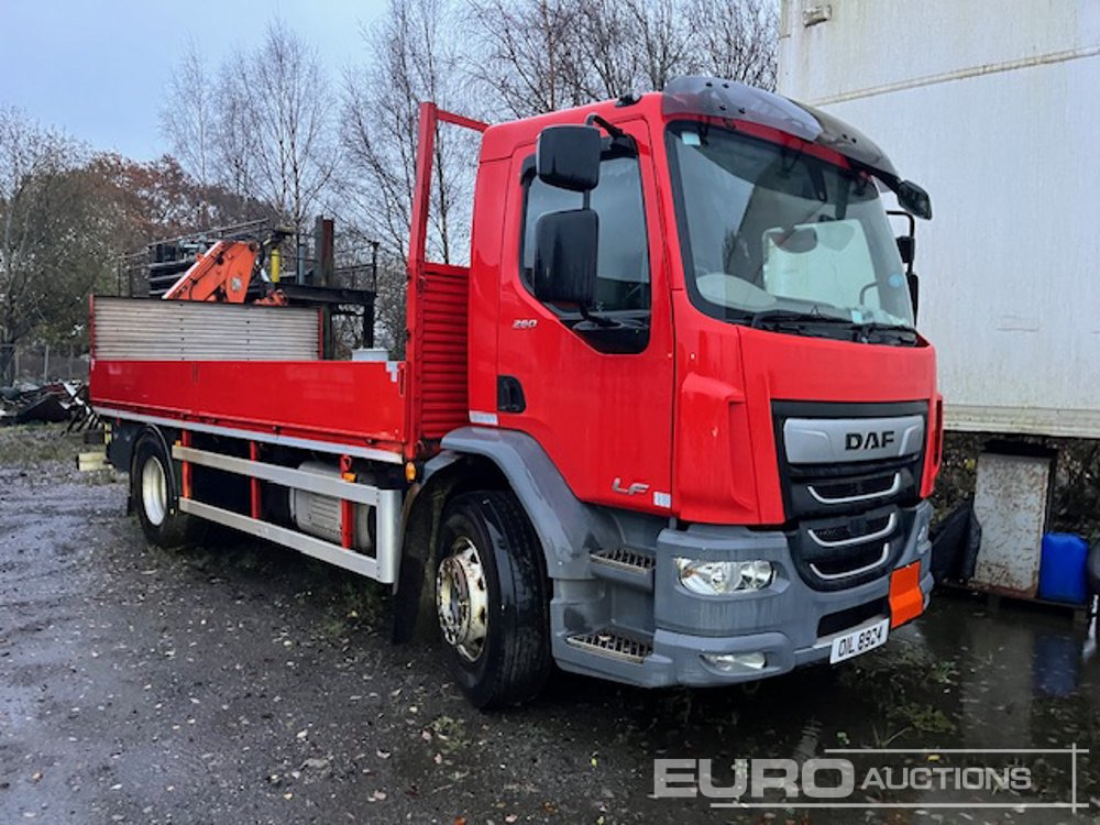2019 DAF LF260 - Pritsche LKW: das Bild 5 2019 DAF LF260 - Pritsche LKW: das Bild 5
