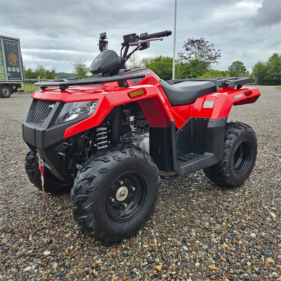 Arctic Cat Alterra 300 - Quad: das Bild 1 Arctic Cat Alterra 300 - Quad: das Bild 1